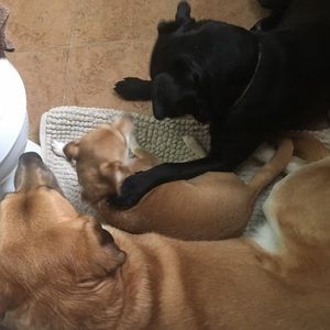 Meet your Posher, Erica